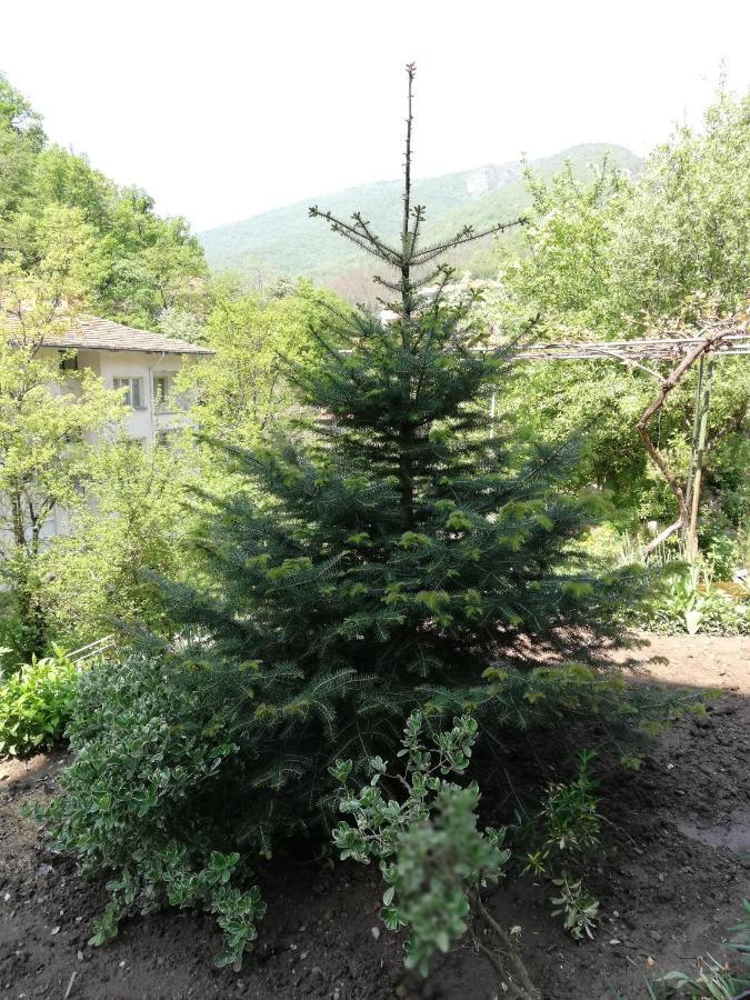 Дом Бакалски-Кмета Narechenski Bani Kültér fotó